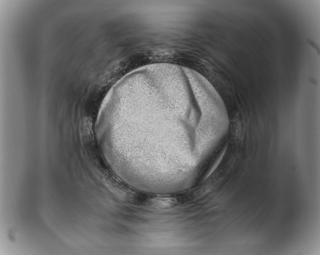 X0000102760711200809080941