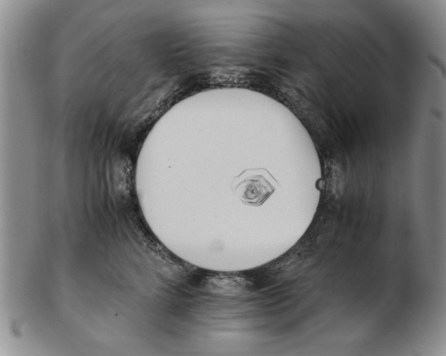 X0000102760712200809080941