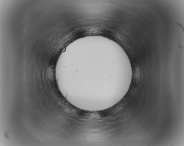 X0000102760715200809080941