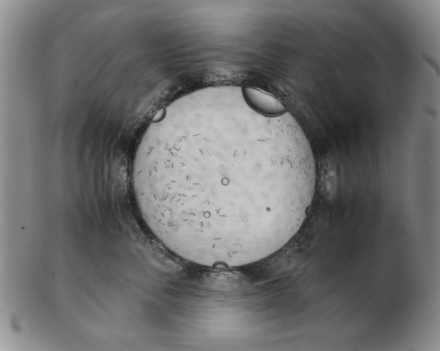 X0000102760716200809080941