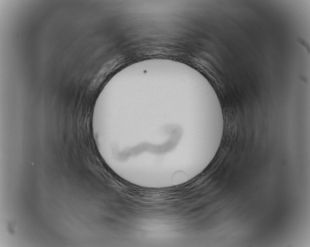 X0000102760717200809080941