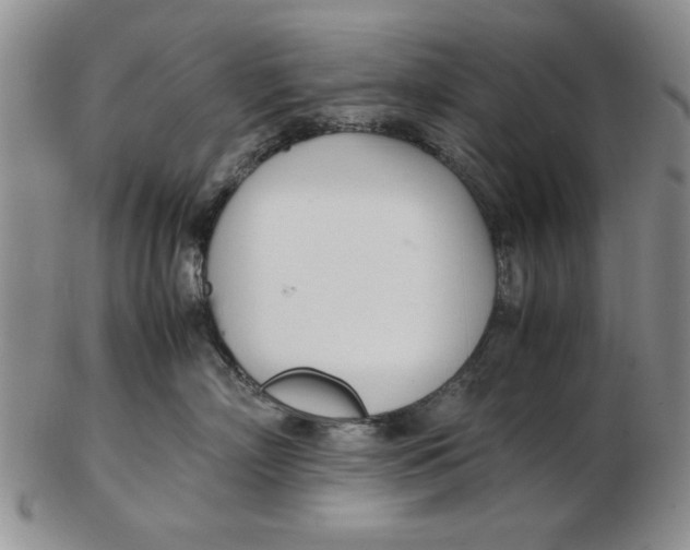 X0000102760718200809080941