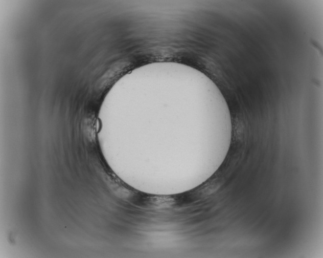 X0000102760719200809080941