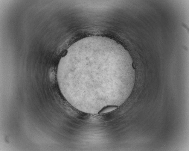 X0000102760720200809080941