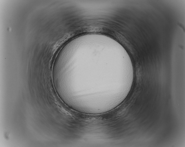 X0000102760721200809080940