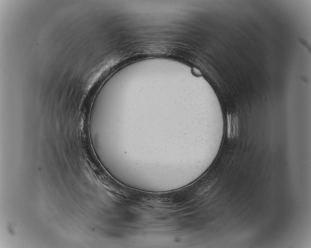 X0000102760723200809080940