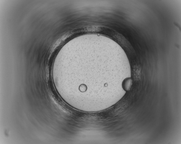 X0000102760726200809080940