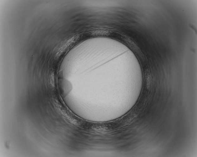 X0000102760729200809080940