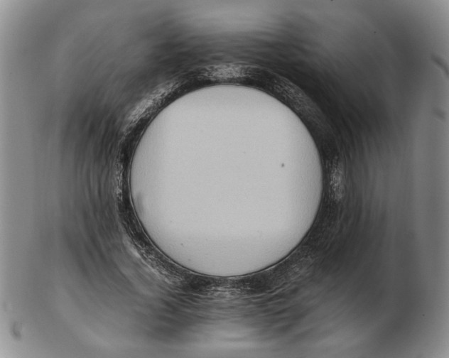 X0000102760732200809080940