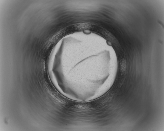 X0000102760733200809080940