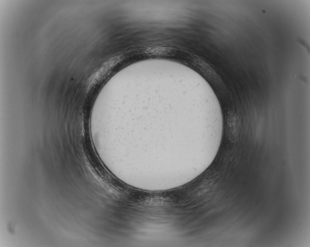 X0000102760734200809080940