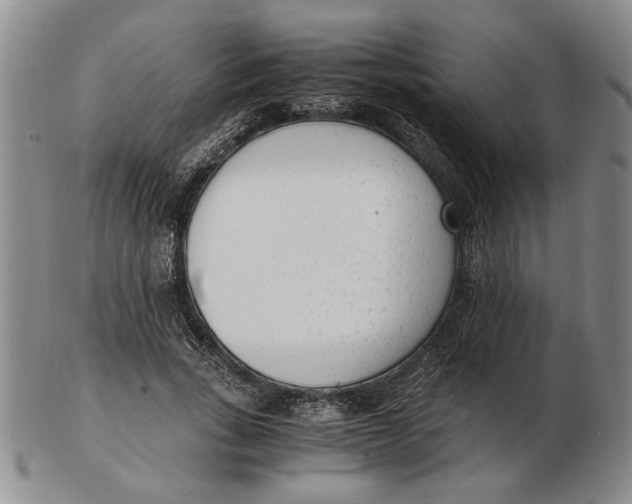 X0000102760735200809080940