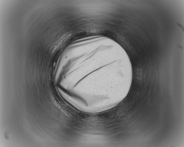 X0000102760738200809080940