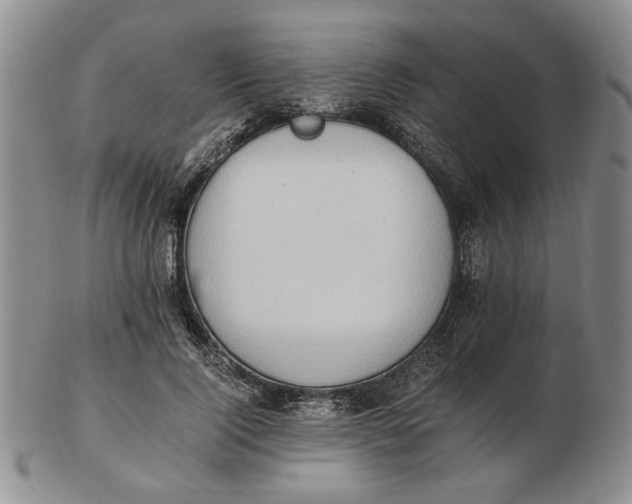 X0000102760740200809080940