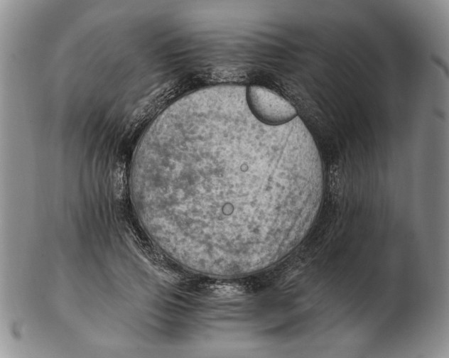 X0000102760741200809080941