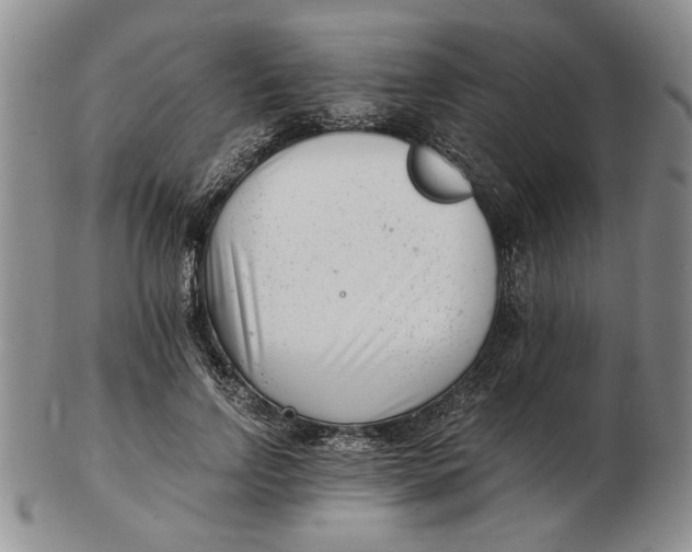 X0000102760742200809080941