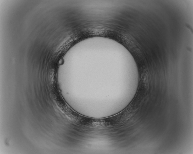 X0000102760744200809080941