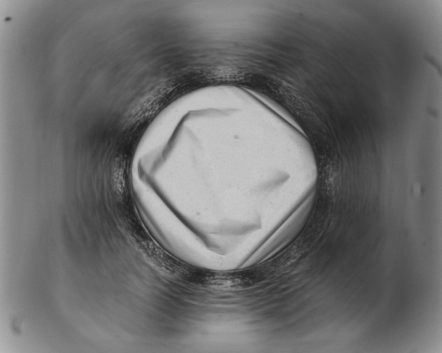 X0000102760746200809080941