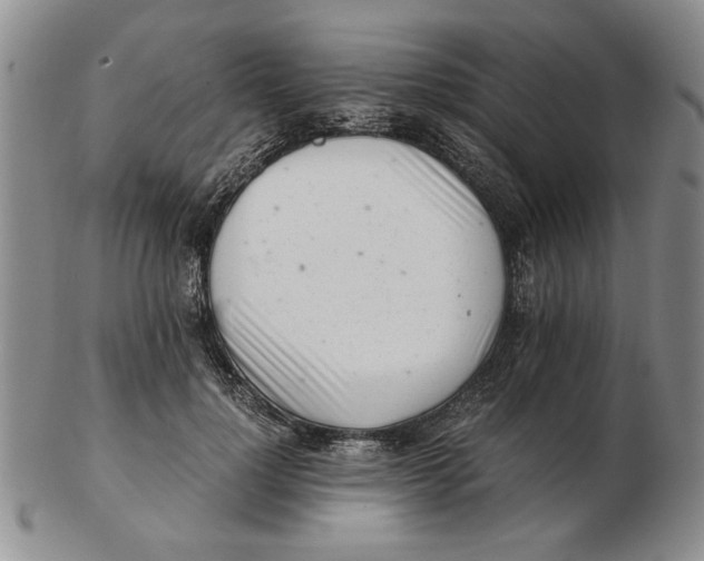 X0000102760748200809080941