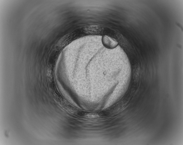 X0000102760749200809080941