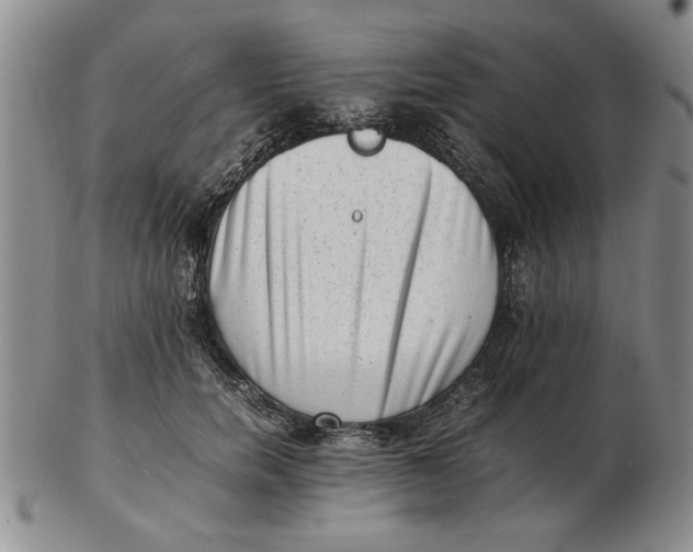 X0000102760750200809080941