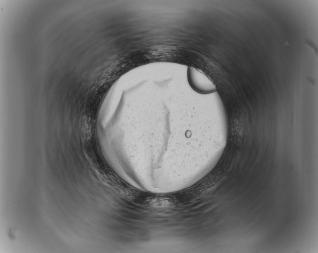 X0000102760751200809080941