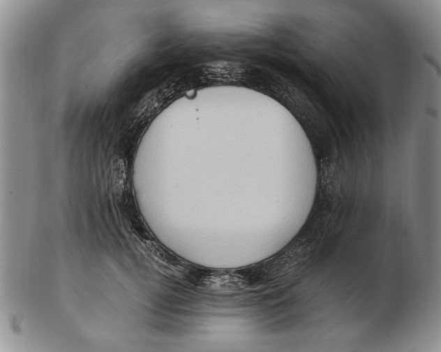 X0000102760752200809080941