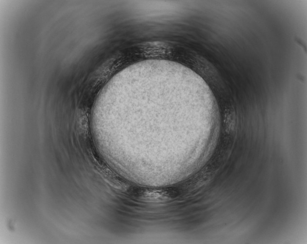 X0000102760753200809080941