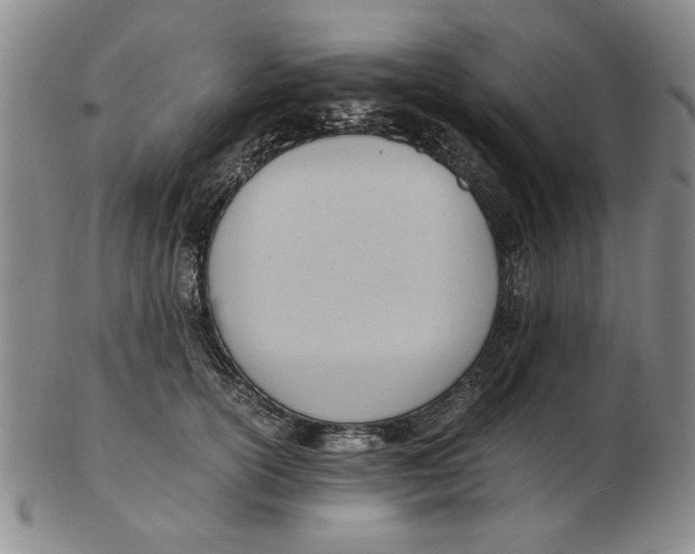 X0000102760754200809080941