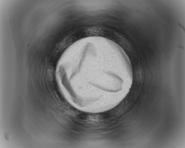 X0000102760757200809080941