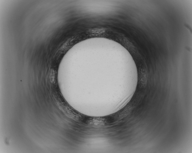 X0000102760758200809080941