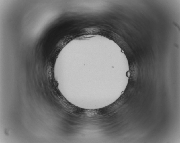 X0000102760762200809080941