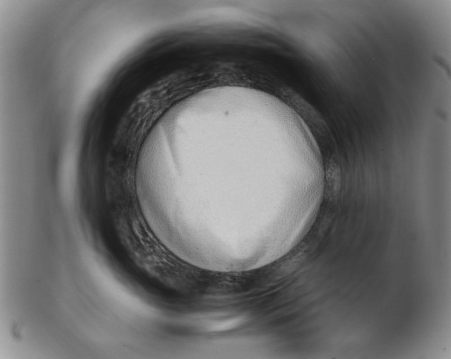 X0000102760765200809080941