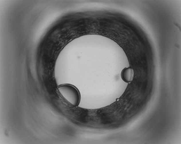 X0000102760766200809080941