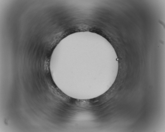 X0000102760768200809080941