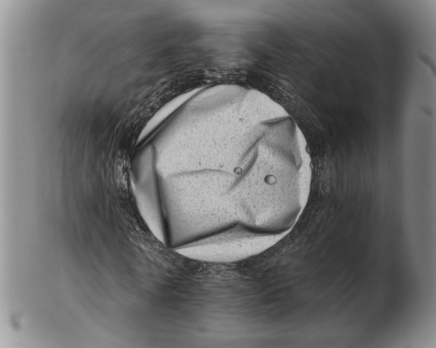 X0000102760770200809080940