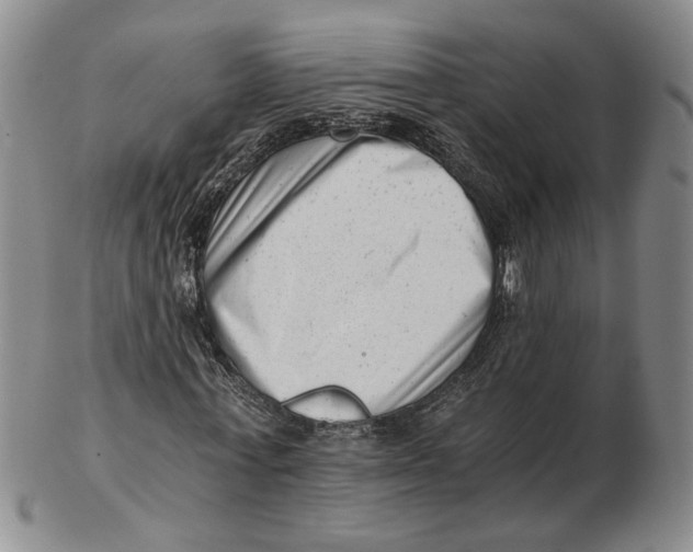 X0000102760771200809080940