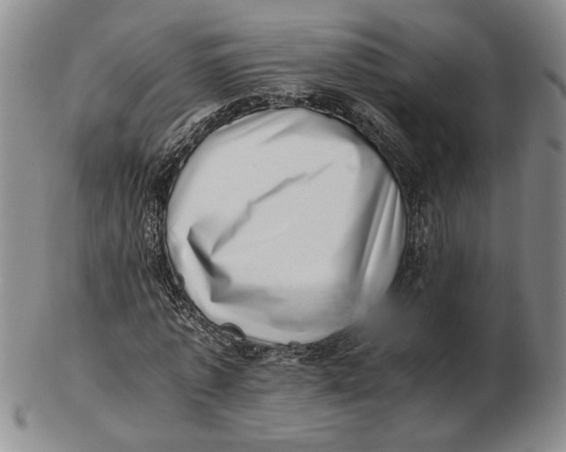 X0000102760773200809080940