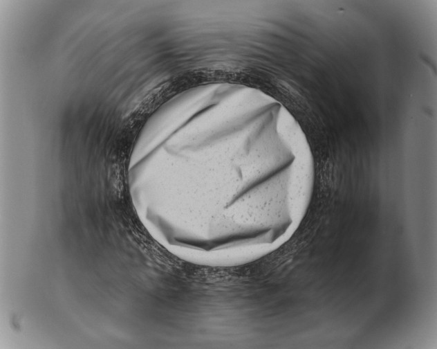 X0000102760774200809080940