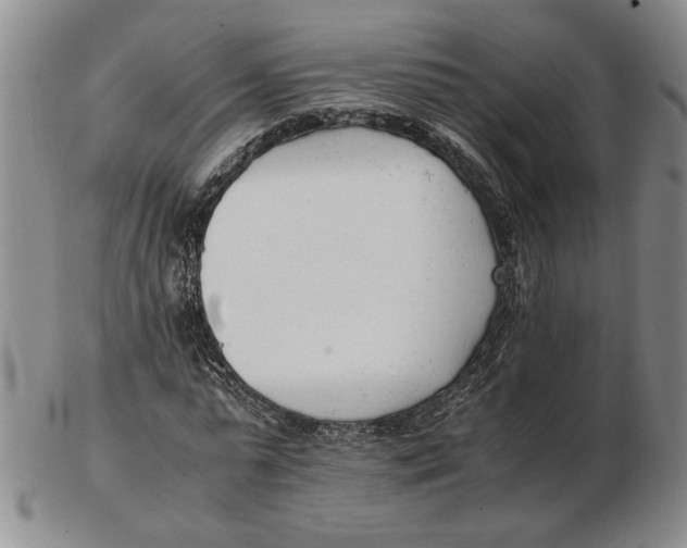 X0000102760775200809080940