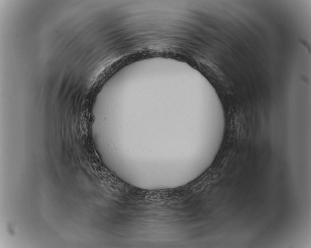 X0000102760776200809080940