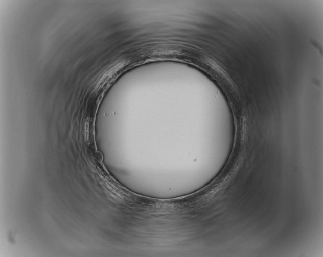 X0000102760777200809080940