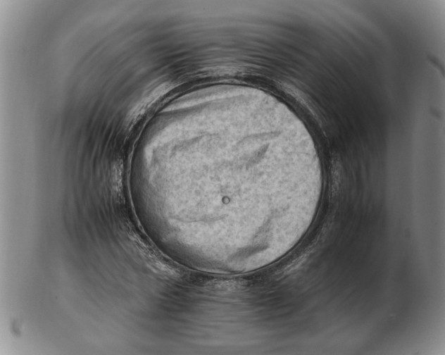 X0000102760778200809080940