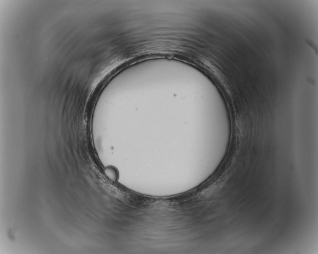 X0000102760779200809080940