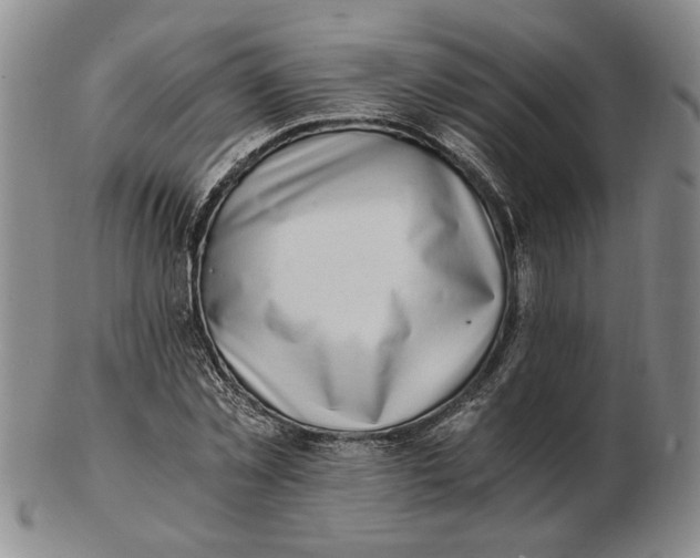 X0000102760781200809080940