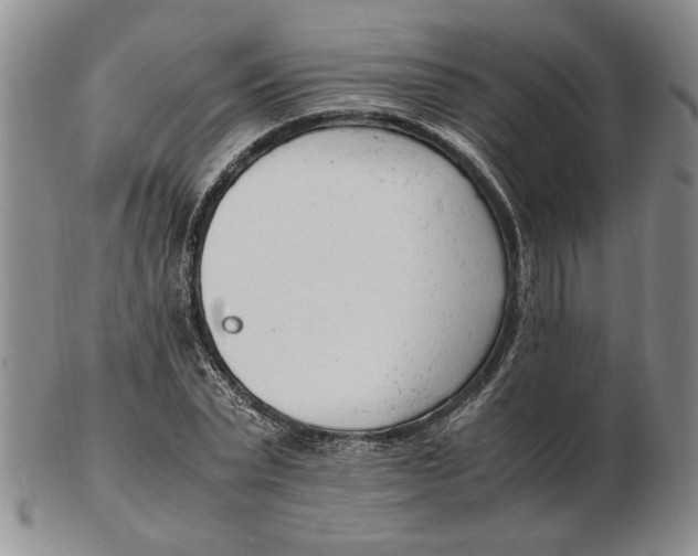 X0000102760783200809080940