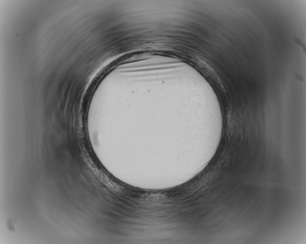 X0000102760784200809080940