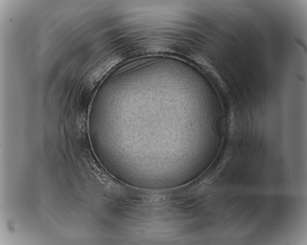 X0000102760785200809080940