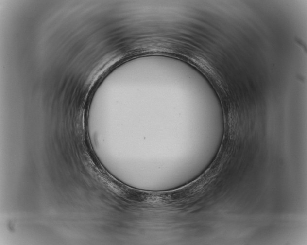 X0000102760790200809080940