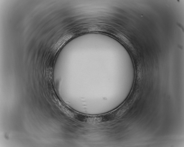 X0000102760793200809080940